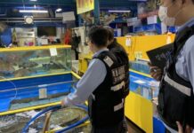 여름철 인기 수산물 원산지 집중 단속…유통이력 추적