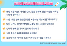 8월 ‘여름철 피부관리 방법’