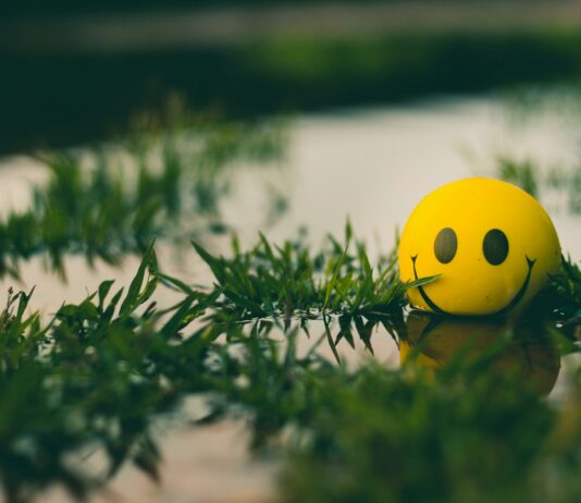 체중 감량, 운동과 식습관 관리로 성과 달성 a yellow ball with a smiley face sitting in the grass