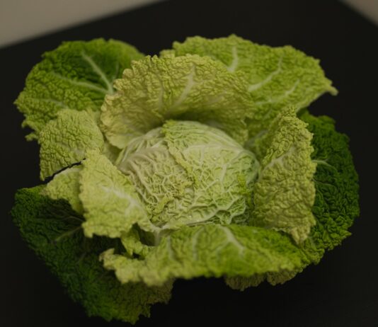 겨울철 채소로 만드는 간단 요리 a head of broccoli on a black surface