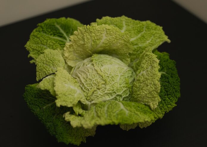 Photo by Dixit Dhinakaran a head of broccoli on a black surface