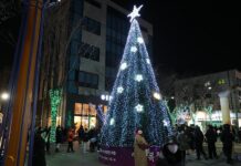 어울림 빛축제…39일간 빛의 향연