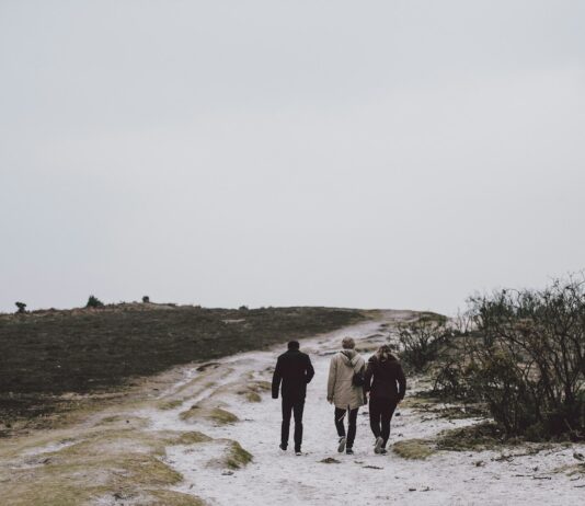 노인 질환의 예방과 관리: 일상에서 할 수 있는 건강 관리 three person walking on snow covered field