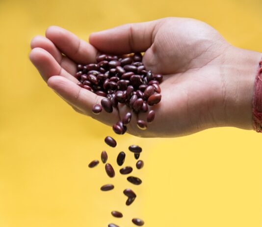 다이어트와 면역력을 모두 챙기는 겨울 건강 비법 black and brown coffee beans