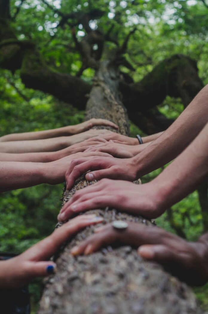Photo by Shane Rounce a group of people holding hands on top of a tree