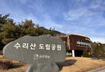 경기도, 수리산도립공원 숲체험 프로그램 운영. 생태 체험, 아토피 관리 등