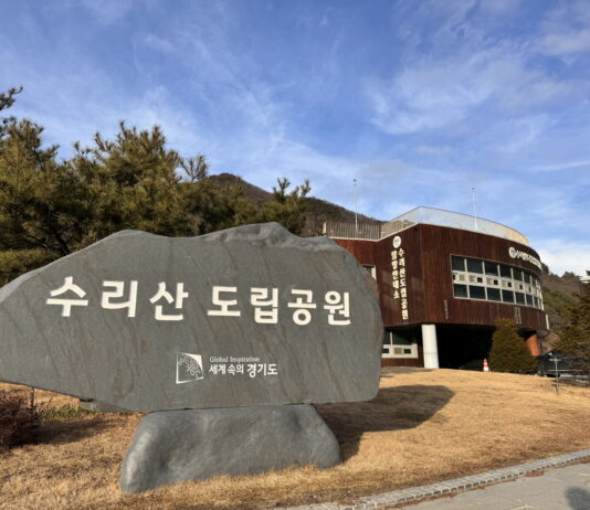 경기도, 수리산도립공원 숲체험 프로그램 운영. 생태 체험, 아토피 관리 등