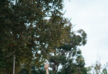 바쁜 직장인을 위한 건강관리 노하우, 일상 속 작은 변화로 시작하세요 woman in white tank top and gray leggings doing push up on black exercise ball on near near near near